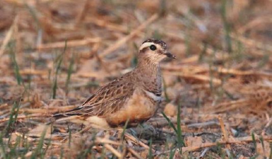 Foto: André Günther