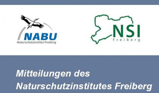 Titel Heft 11 2025 Abb. ohne Autor: